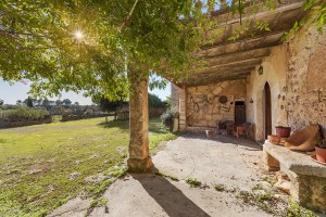 Impressive manor house to reform with lots of land and privacy in the Sineu countryside