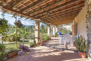 Two bedroom finca needing renovation in the countryside of Pollensa