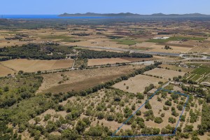 Generous plot on the picturesque outskirts of  Pollensa