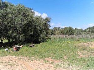 Country finca investment property in Campos