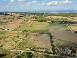Countryside plot where you can build your dream home in Sineu