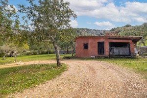 Country plot with two buildings to be enjoyed, not developed, in a superb area near Pollensa
