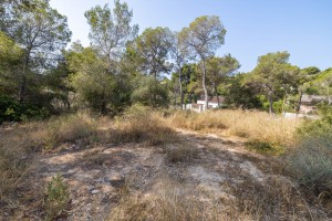Building plot near the beach where you can build you dream home in Cala Vinyes