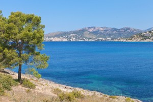 Build your dream home on this quiet residential plot in Santa Ponsa