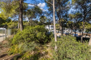 Residential plot to build your dream villa in front of the marina in Santa Ponsa