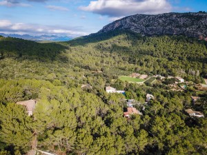 Building plot with mountain views and lots of potential close to Pollensa