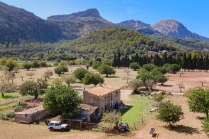 Mallorcan finca on a massive plot to be restored close to Pollensa town