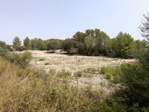Picturesque plot with building license for a villa project in a peaceful area of Montuiri