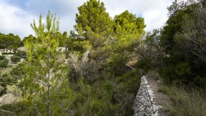 Building plot surround by nature in the village of Galilea, Puigpuñent