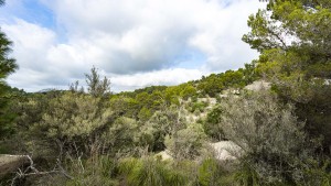 Building plot in the picturesque surroundings of southwest of Mallorca