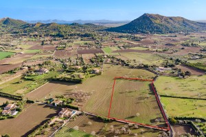 Idyllic plot with permission to build a 500m2 house with pool in Alcudia