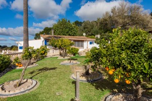 Country property with guest apartment and panoramic views in Montuiri