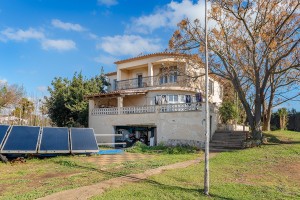 Versatile property with a tree plantation and agricultural possibilities in Palma