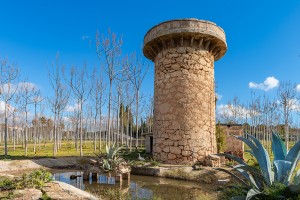 Versatile property with a tree plantation and agricultural possibilities in Palma