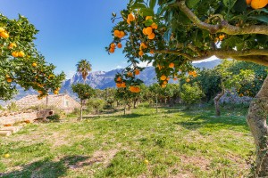 Charming country property in need of reform on a large plot with mountain views in Sóller