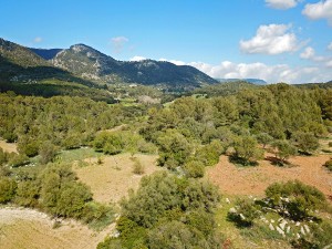 Very private country plot surrounded by nature near the town Campanet