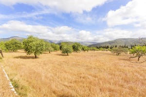 Lovely countryside plot for sale in a peaceful area of Campanet