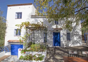 Andalucian farmhouse amongst the olive groves