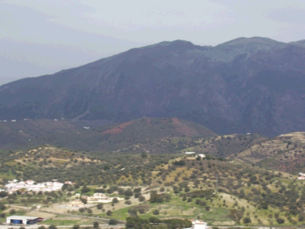 mountain view 