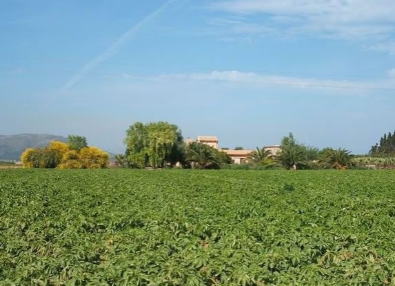 Country Home for sale in Sa Pobla, 