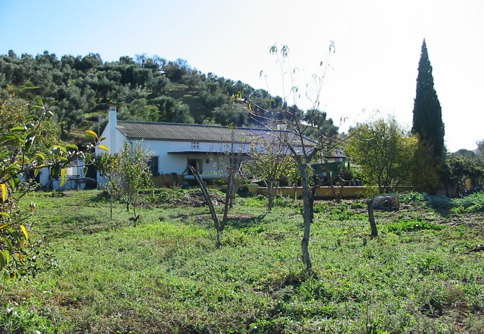 villa-plot