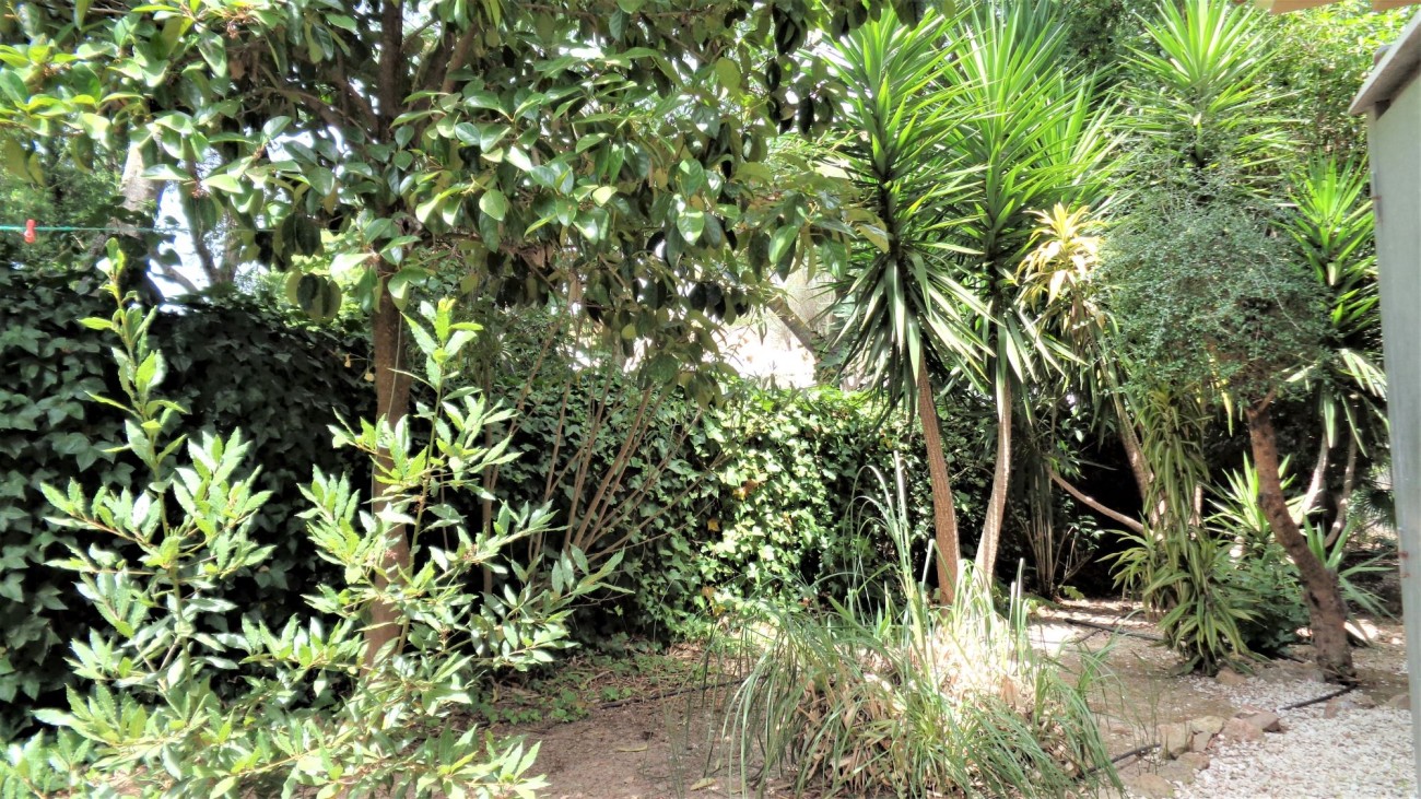 Jardín (2)